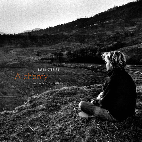 Sylvian, David - Alchemy: An Index Of Possibilities (Corona Gold Opaque Red Vinyl)
