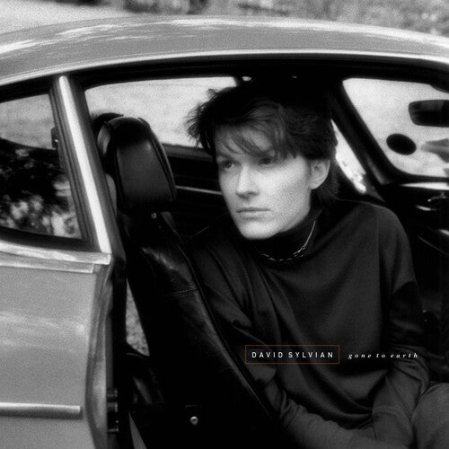 CD未開封　プロフェテーク　1978-1980 David Sylvian japan-english-group-about-1980