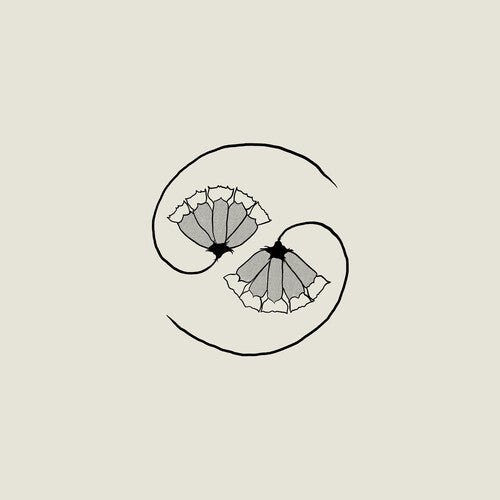 Godspeed You! Black Emperor - G_d's Pee AT STATE'S END! (LP + 10")