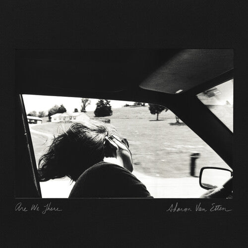 Van Etten, Sharon - Are We There (10 Year Anniversary Edition) (Black/Grey/Silver Vinyl)