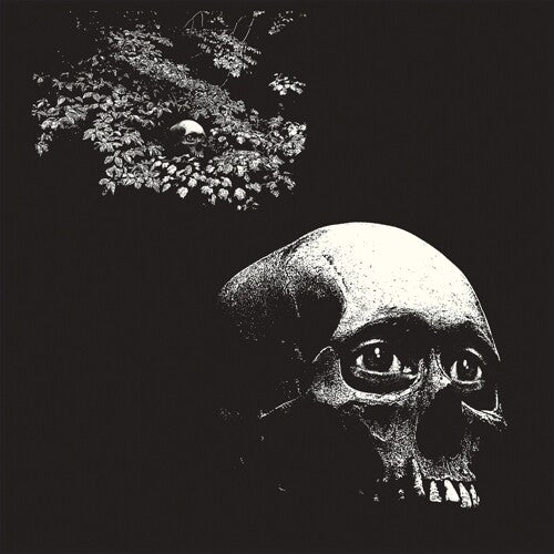 Osees - A Foul Form (Vinyl)