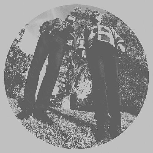 Segall, Ty & White Fence - Hair (Vinyl)