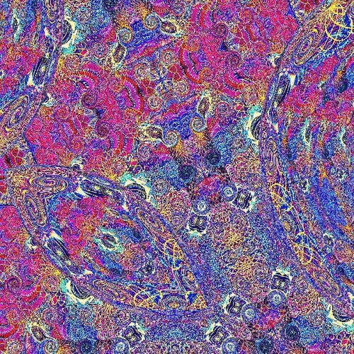 Nino, Carlos & Friends - Placenta (2LP, Purple/Blue Vinyl)