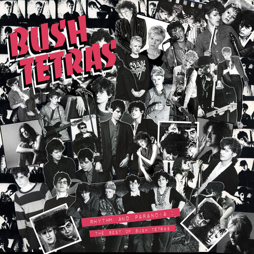 Bush Tetras - Rhythm & Paranoia: The Best of Bush Tetras (3LP+Book)