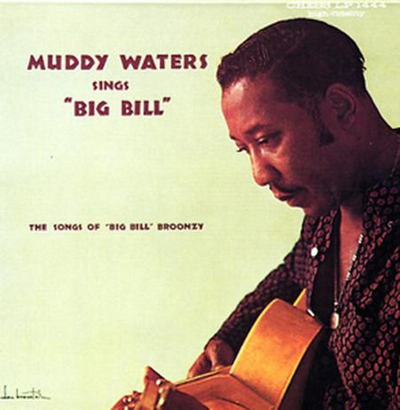 Muddy Waters - Sings "Big Bill"  (Chess Acoustic Sounds Series Vinyl LP)