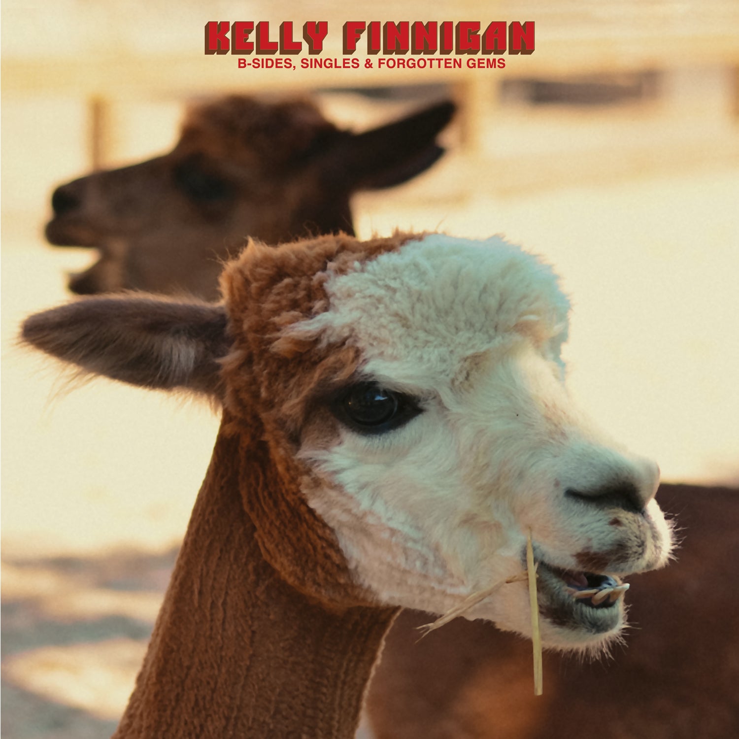 Kelly Finnigan - B-Sides, Singles & Forgotten Gems (Fire Red Vinyl) PRE-ORDER - Out 8/14/26
