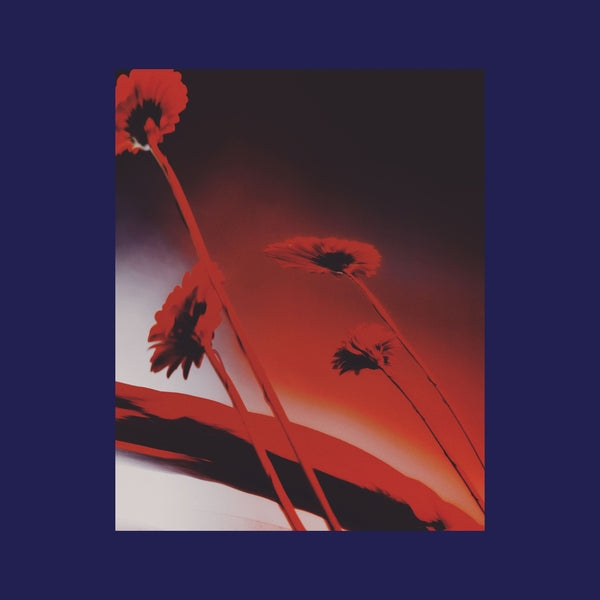 Various Artists - Nothing Ever Was: Compiled by DJ Sundae (Vinyl LP, Australian Import) PRE-ORDER - Out 11/27/26