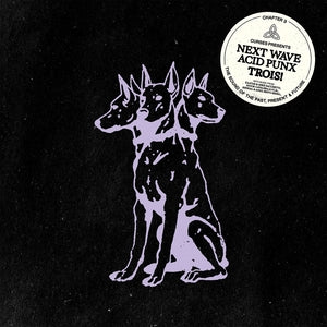 Various Artists - Curses Presents Next Wave Acid Punx Chapter 3 of 3 (2LP, Vinyl) PRE-ORDER - Out 6/19/26