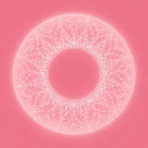 Merzbow & Pedro Vian - Bardo Thodol (Vinyl LP) PRE-ORDER - Out 7/10/26