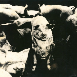 Eskorbuto - Mucha Policia, Poca Diversion (2 x 7" Vinyl, Spanish Import) PRE-ORDER - Out 12/18/2