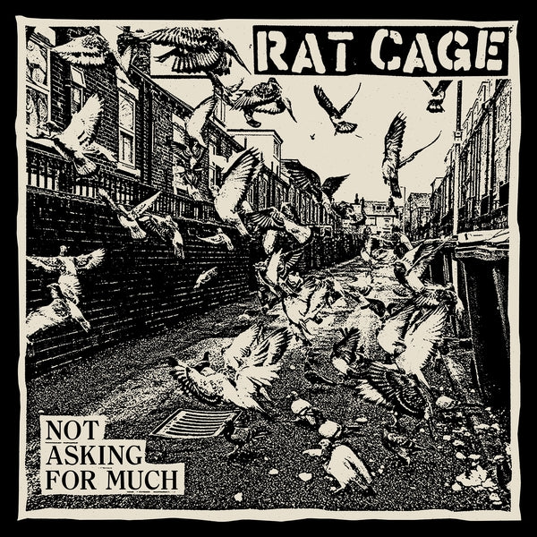 Rat Cage - Not Asking for Much (Vinyl LP) PRE-ORDER - Out 9/25/26