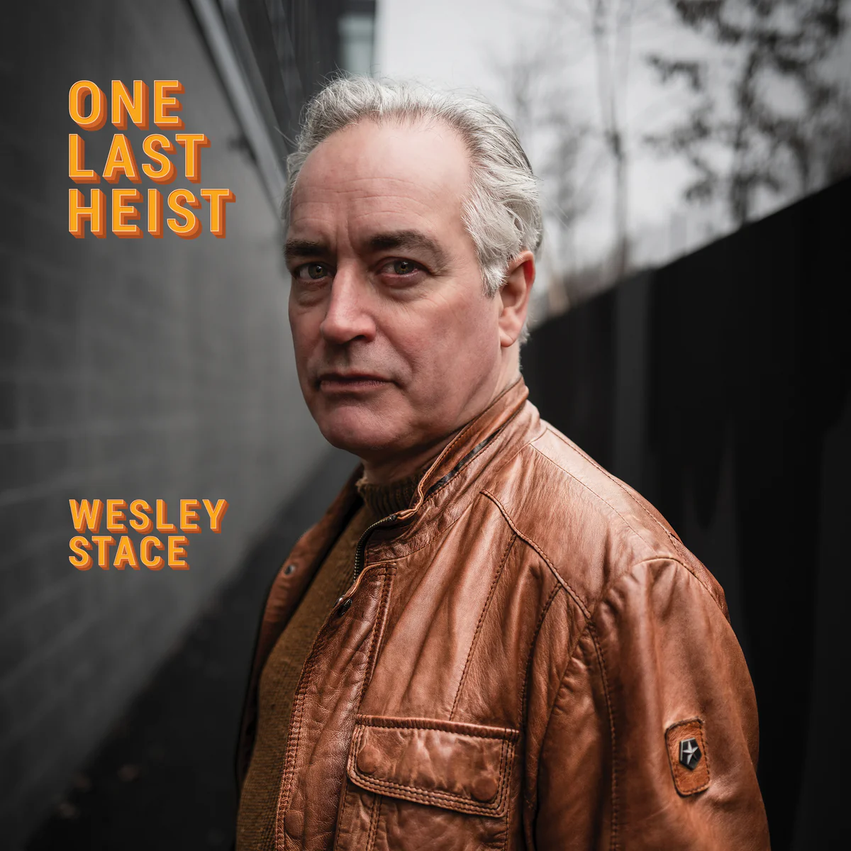 Wesley Stace (aka John Wesley Harding) - One Last Heist (Vinyl LP) PRE-ORDER - Out 9/4/26