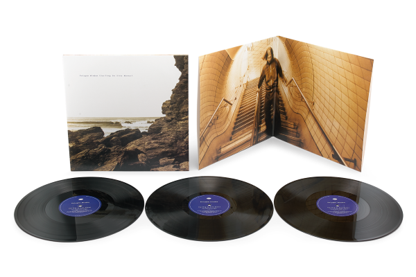 Polygon Window - Surfing On Sine Waves (3LP, Vinyl) PRE-ORDER 9/26/25