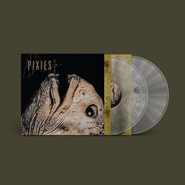 Pixies - Complete B Sides: 1988-97 (2LP, Clear Vinyl) PRE-ORDER - Out 6/26/26