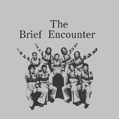 The Brief Encounter - Introducing The Brief Encounter ("Smoky" Mountain Vinyl)